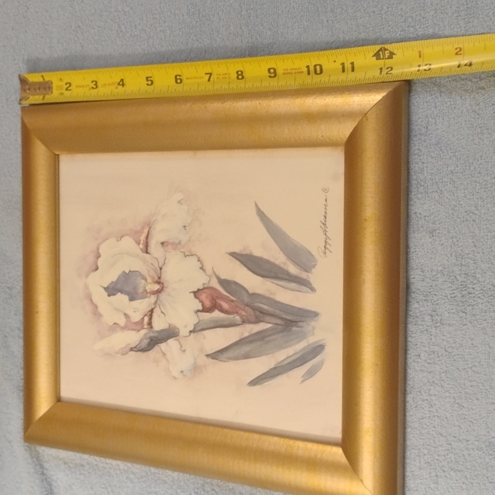 Pictures! - Picture 2 of 15